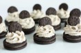 /album/fotogalerie-novinky/oreo-2-jpg2/